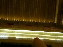 -热带雨林汗蒸馆(汶水东路店)