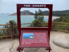 -广东惠东海龟国家级自然保护区
