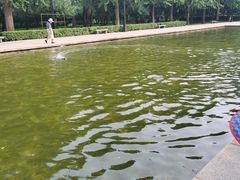 -玲珑塔公园