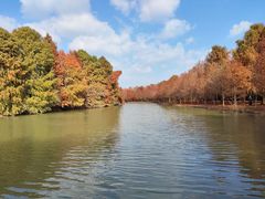 -上海海湾国家森林公园