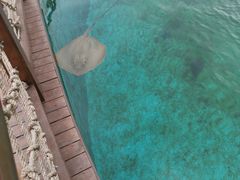 -西安华夏文旅水世界