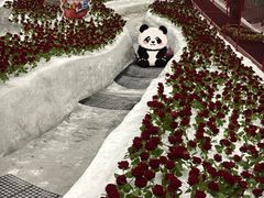 -广州热雪奇迹