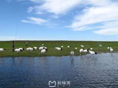 -黑龙江扎龙生态旅游区