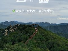 -大岭沟猕猴桃谷风景区