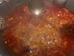 -朱光玉火锅馆(正弘城店)