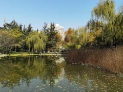 -木塔寺遗址生态公园
