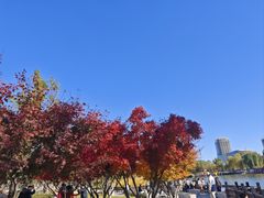 -西海子公园
