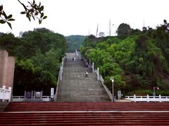 -铁山坪森林公园