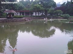 -中共上海市委党校 上海行政学院