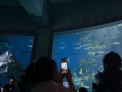 -海合安武汉极地海洋公园