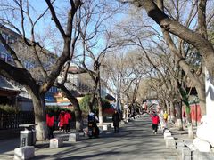 -北京国子监胡同