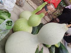 -呀路古热带植物园