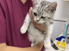 -宠颐生动物医院·小陆分院