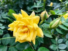 -人民公园(罗湖区)