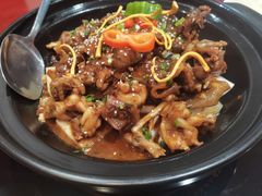-火焰金龟甲(汉阳江滩旗舰店)