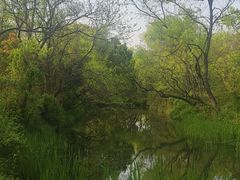 -西溪国家湿地公园