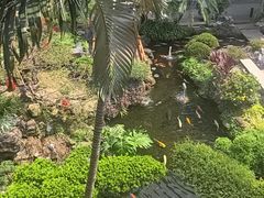 -聚福宝合苑食府(南头镇店)