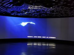 -同济大学四平路校区深海探索馆