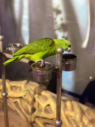 -酷嗒动物文化乐园(cutezoo西溪乐天城店)