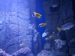 -成都浩海立方海洋公园