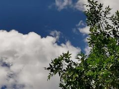 -周口店北京人遗址公园