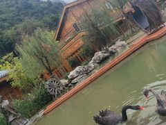 -中国傩城