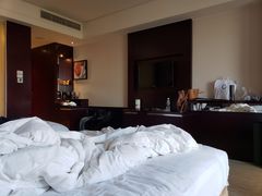 -上海浦东绿地铂骊酒店