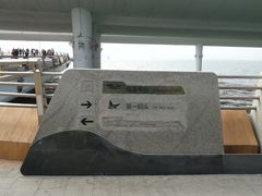 -演武大桥观景平台