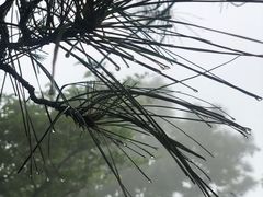 -敬亭山风景名胜区