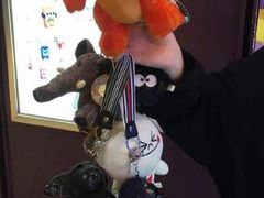 -PAWTOY爪e玩偶店(天兴罗斯福店)