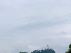 -南山植物园