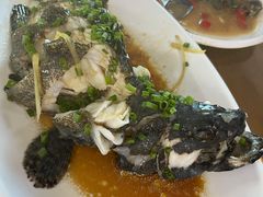 石斑鱼-叶姐海鲜(棋子湾店)