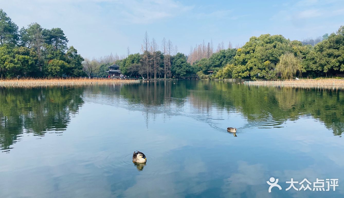 假装在京都[加油]有水有亭也有桥