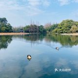 假装在京都[加油]有水有亭也有桥