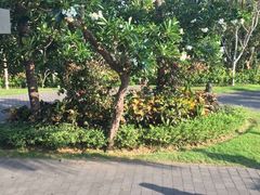 -巴厘岛悦榕庄Jumana露台餐厅