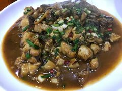 -全乐鱼馆·淳牌有机鱼直营店