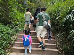 -中国大熊猫保护研究中心雅安碧峰峡基地