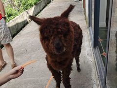 -美家乐农庄·露营·团建(大治路店)