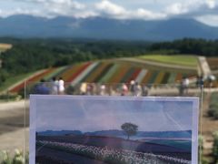 -富田农场