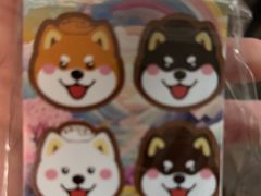 -柴犬高等学院·狗咖·柴犬售卖·宠物训练