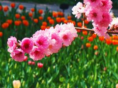 -北京植物园南门售票处