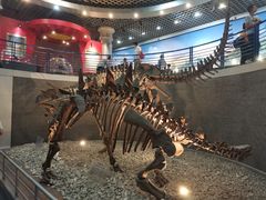 -国家自然博物馆