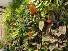 -后海16号·北京私房菜