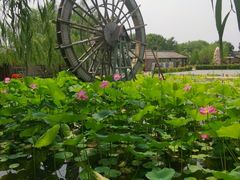 -河北村民俗体验园