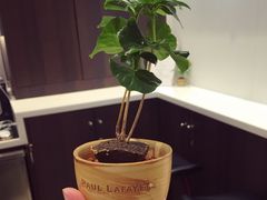 -PAUL LAFAYET 法式甜品(国金中心商场店)
