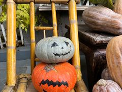 -懒人盐府人家(安贞店)