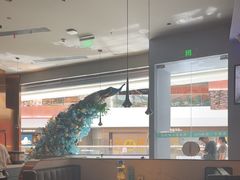 -雀蓝川菜(滨湖万象汇店)