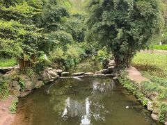 -重庆彩云湖湿地公园