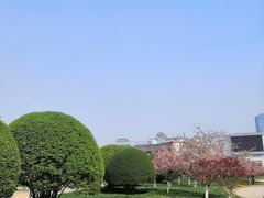 -泉城广场