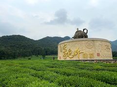 -听风阁农家私房菜茶楼(龙坞店)